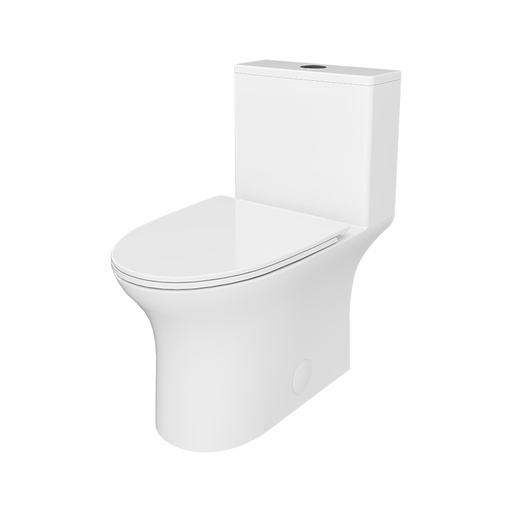 TOILETTE MONOBLOC BLANC